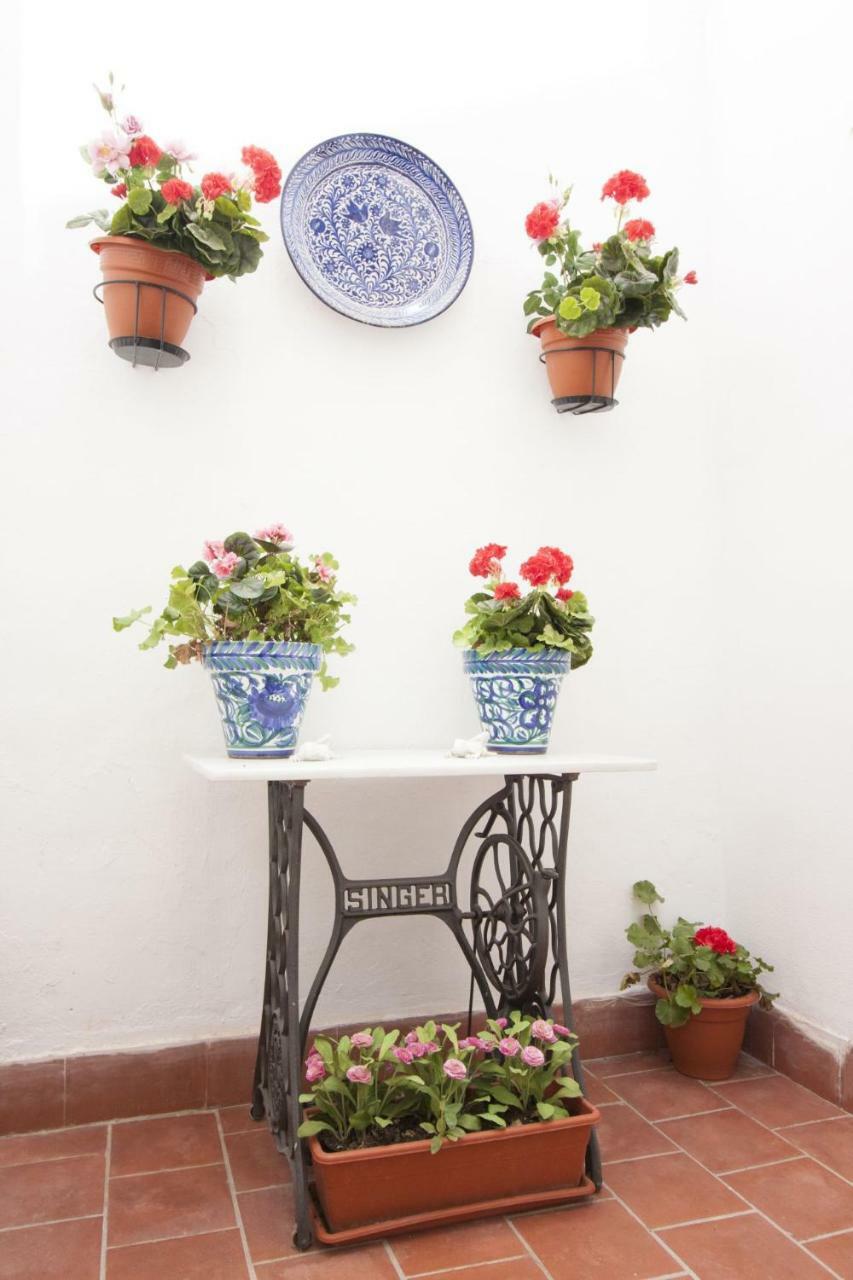Apartament Center Flat Comedias Street